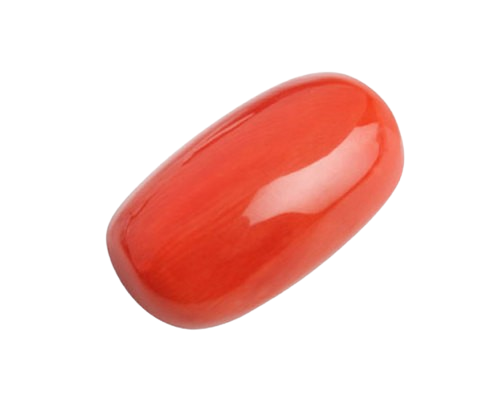 Red Coral
